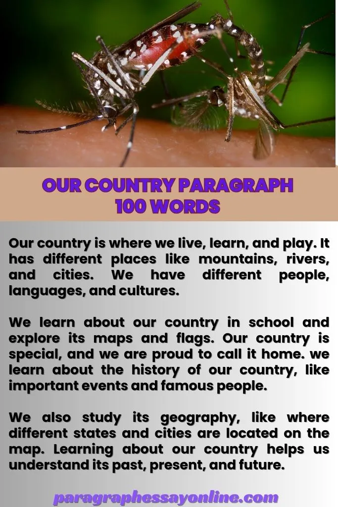 Our Country Paragraph 100 Words