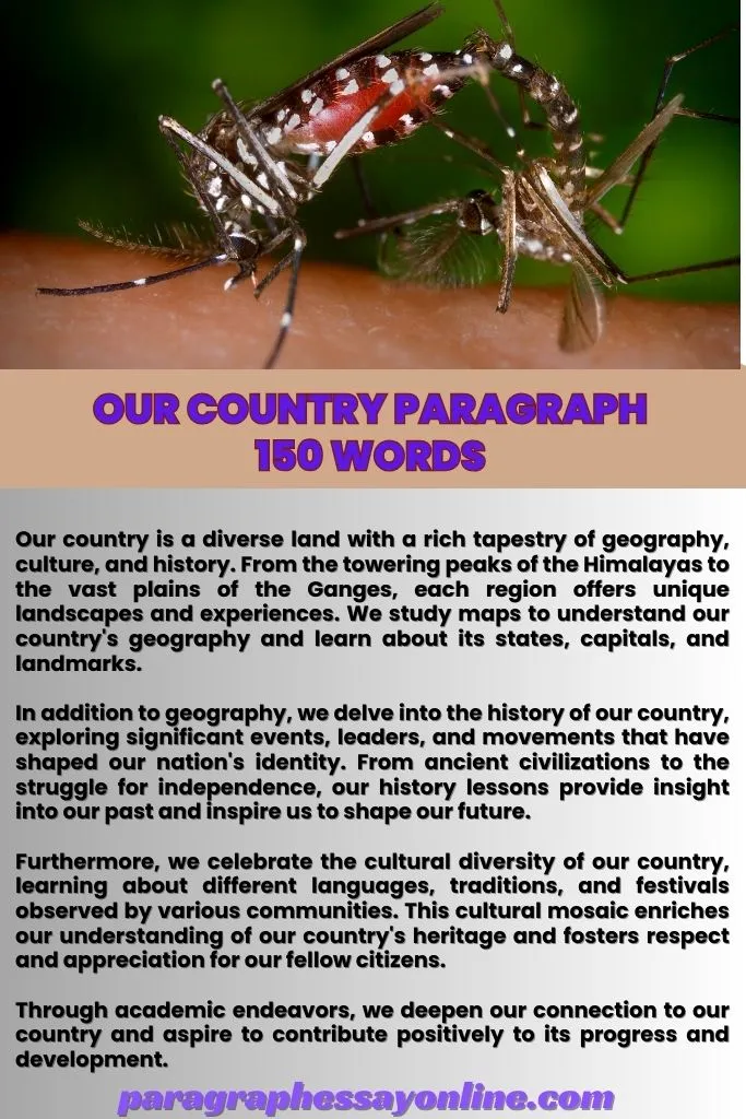 Our Country Paragraph 100 Words